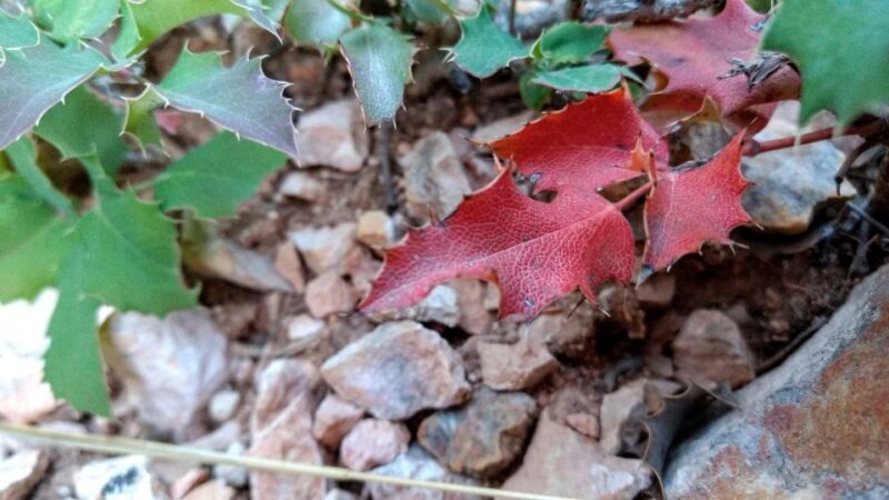 Bryce Canyon National Park Hiking Experience - Final Thoughts