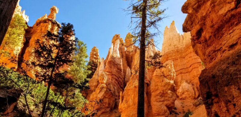Bryce Canyon National Park Hiking Experience - FAQ