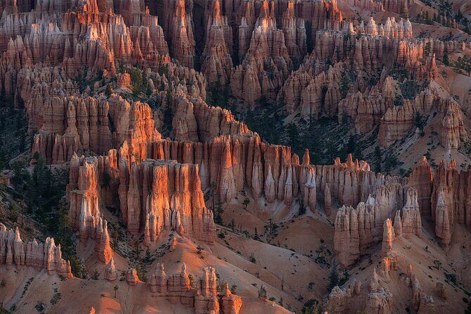 Bryce Canyon Photography Tours - The Experience in Detail
