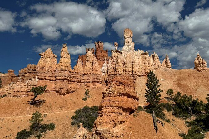 Bryce Canyon Private Tour - Meeting Point and Logistics