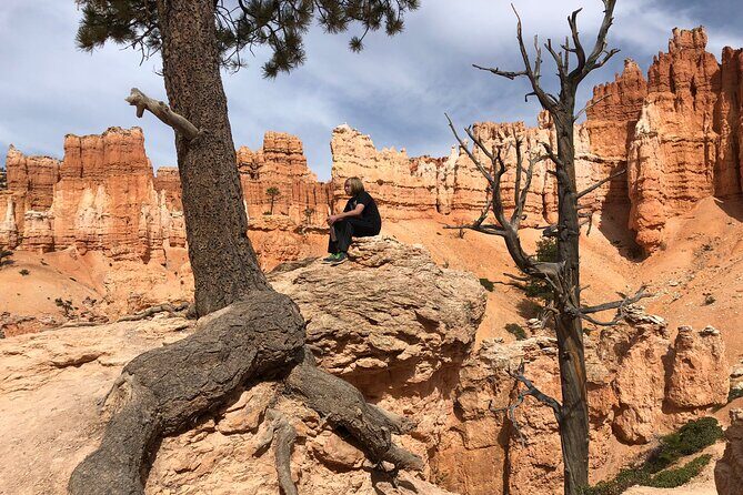 Bryce Canyon Private Tour - Authentic Feedback from Travelers