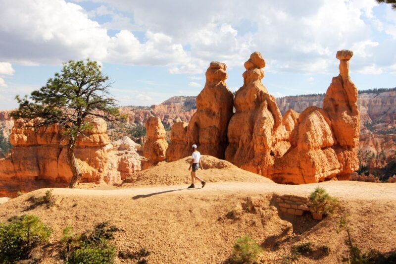 Bryce Canyon & Zion National Park: Private Group Tour - Worth the Price? Analyzing the Value