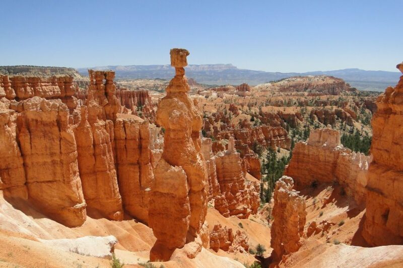 Bryce: Guided Sightseeing Tour of Bryce Canyon National Park - What It Feels Like to Be on This Tour
