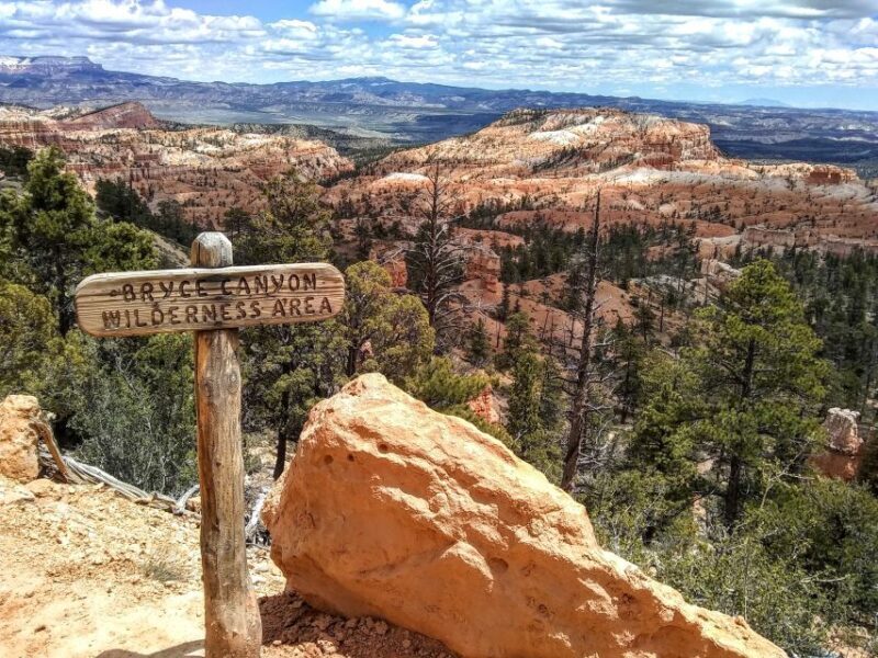 Bryce: Guided Sightseeing Tour of Bryce Canyon National Park - Assessing the Value