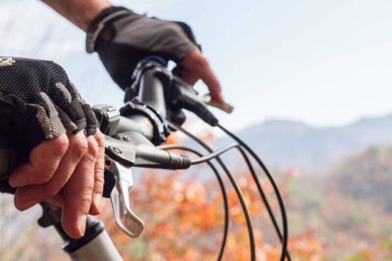 Bryson City: Tsali Recreation Area Guided Mountain Bike Tour - What to Expect from Your Mountain Bike Tour