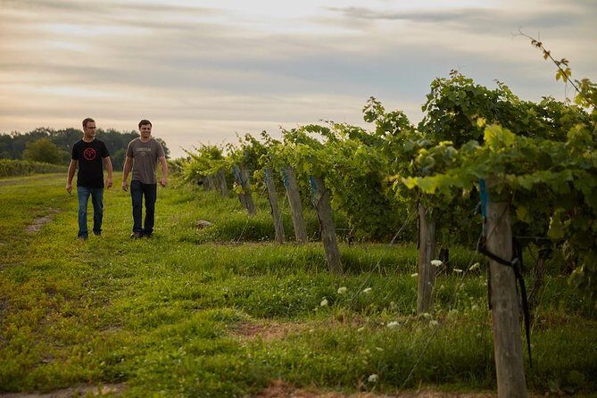 BTL Picnic Cheese and Charcuterie Board - Who Should Consider This Tour?