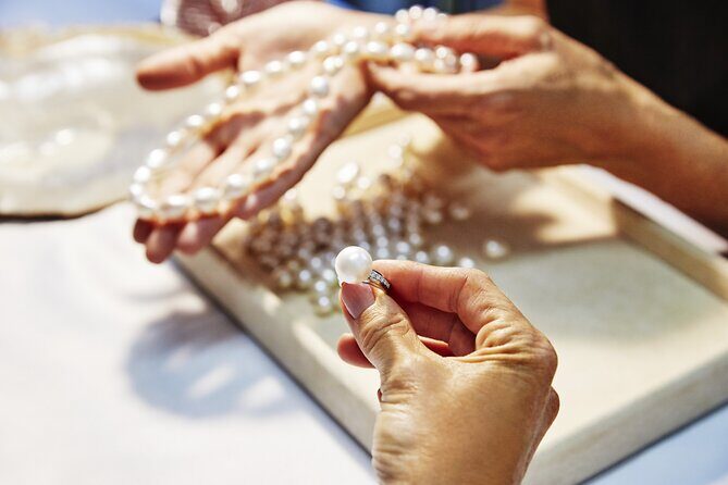 Buccaneer Explorer - Dry Season - Is it Worth the Price?