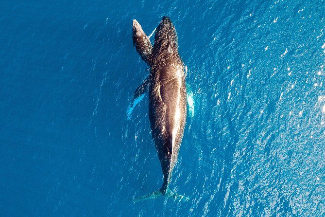 Buccaneer Explorer - Dry Season - Final Thoughts