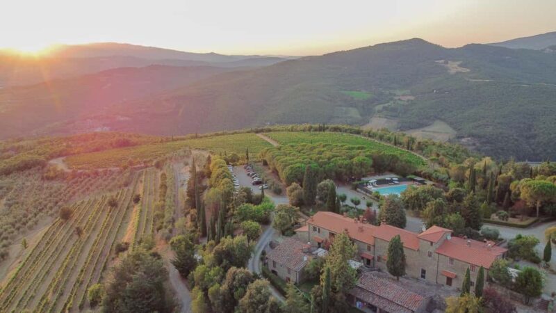 Buccia Nera Winery: Picnic, Vineyard, Wine, Food and Nature - Key Points