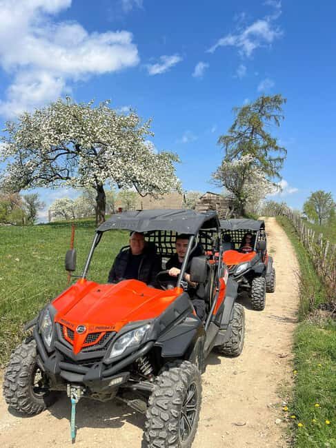 Bucharest: Brown Bears Sanctuary and Quad Tour - FAQ