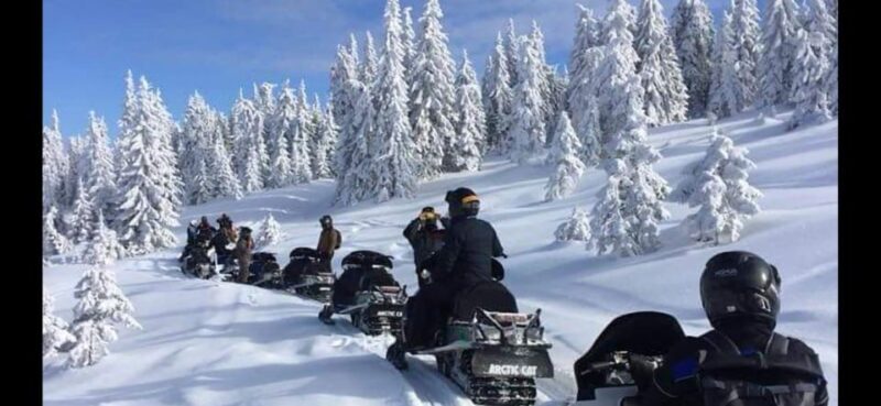 Bucharest: Carpathian Snowmobile Adventure Tour - Final Thoughts: Is This Tour for You?