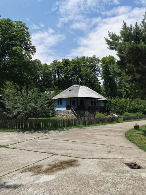 Bucharest city tour: Hop-on Hop-off sightseeing minibus - Who Will Love This Tour?