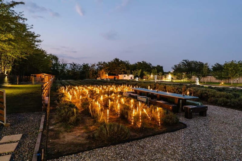 Bucharest: Day Trip at the The Tribe Alpaca Retreat - What is the Bucharest: Day Trip at The Tribe Alpaca Retreat?