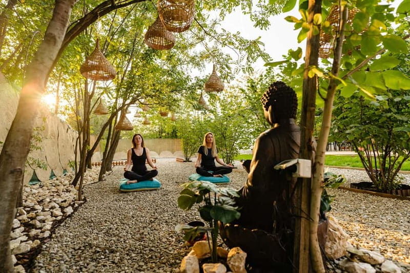 Bucharest: Day Trip at the The Tribe Alpaca Retreat - Final thoughts on the experience