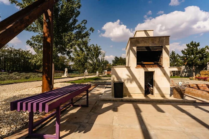 Bucharest: Day Trip at the The Tribe Alpaca Retreat - Who is this experience best suited for?