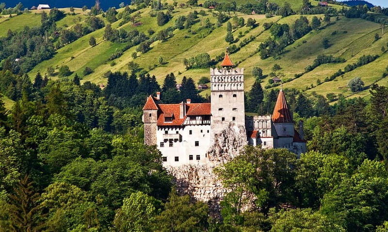 Bucharest: Day Trip to Bear Sanctuary, Bran Castle & Brasov - Exploring Romania’s Transylvania: A Full-Day Tour to the Bear Sanctuary, Bran Castle & Brasov