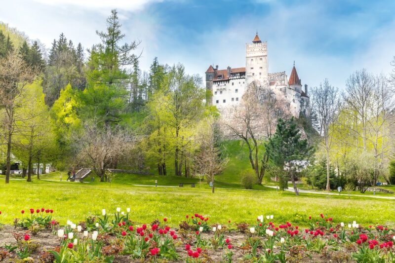 Bucharest: Day Trip to Dracula Castle, Peles Castle & Braov - Who Should Consider This Tour?