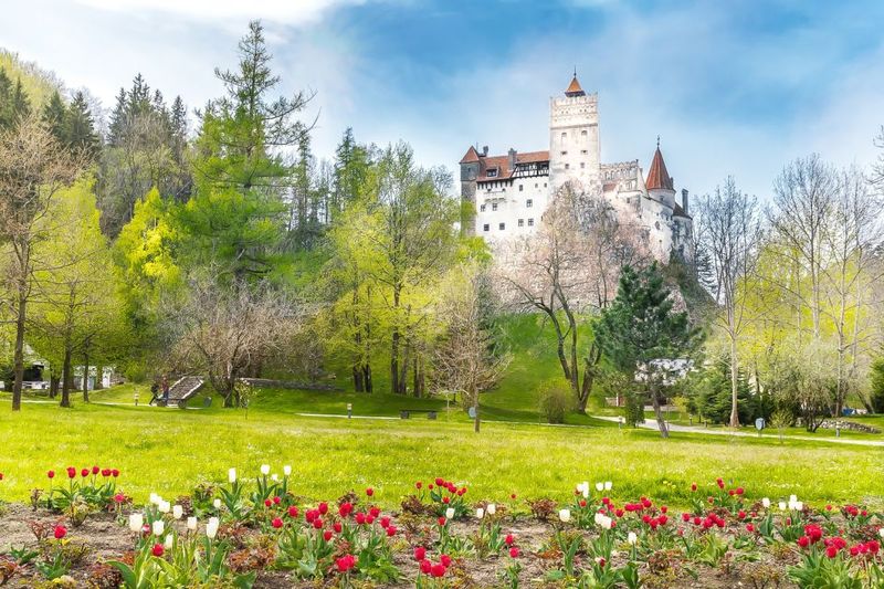 Bucharest: Day Trip to Dracula Castle, Peles Castle & Brașov - Stop Three: Brașov Old Town Walk (Medieval Streets, Break From the Castles)