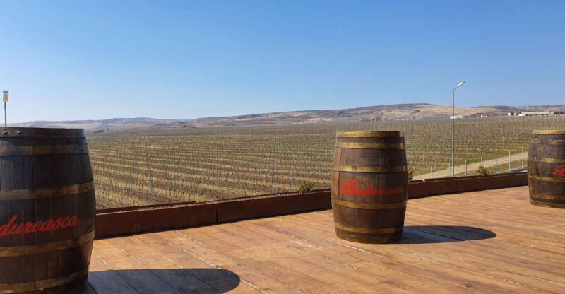 Bucharest: Dealu Mare Winery Private Trip with Wine Tasting - Key Points