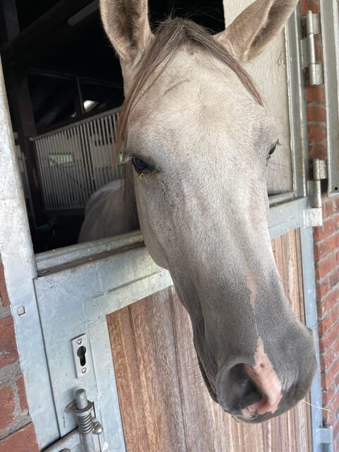 Bucharest: Discover Prejmer Fortified Church and Brasov - Final Thoughts