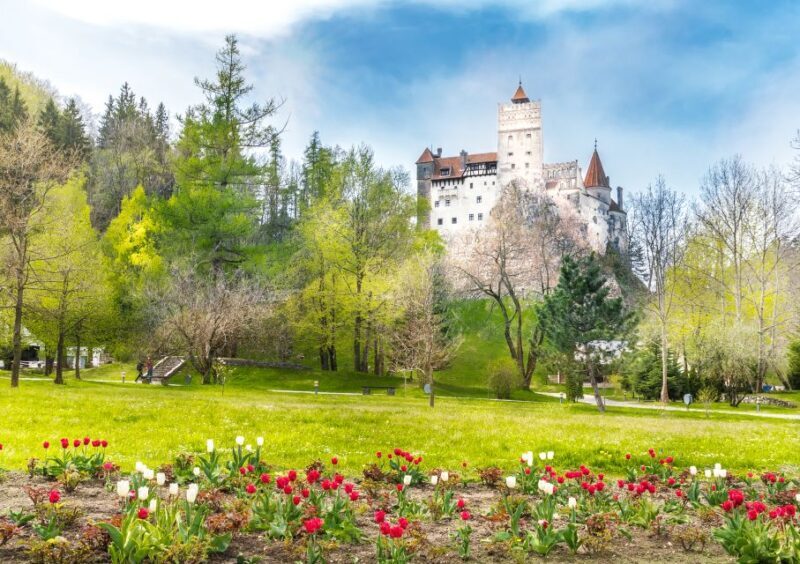 Bucharest: Dracula Castle, Peles Castle & Brasov Guided Tour - A Full Breakdown of the Experience