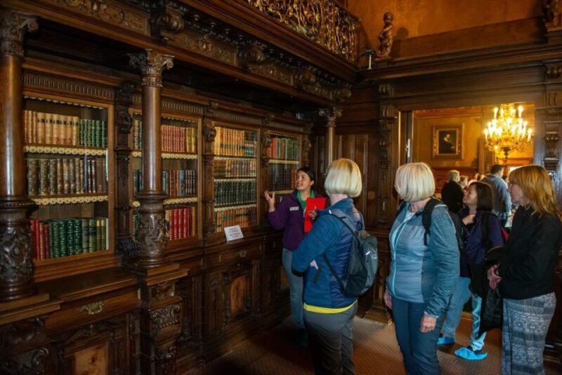 Bucharest: Dracula, Peles Castles, and Brasov Tour - Final Thoughts