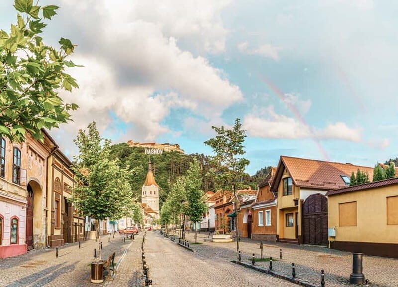 Bucharest: Dracula's Castle, Pele Castle & Braov Day Trip - Practical Details and Considerations