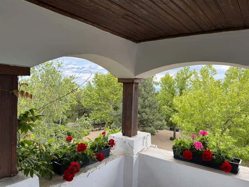 Bucharest: Half-Day Tour of Dealu Mare Wineries - An In-Depth Look at the Dealu Mare Wine Tour