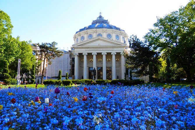 Bucharest Layover Tour (6 - Hour Private City Tour Between Flights) - Key Points