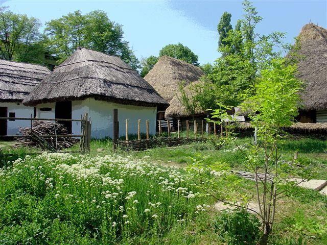 Bucharest: Private City Tour Guided Experience - What to Expect from the Bucharest Private City Tour