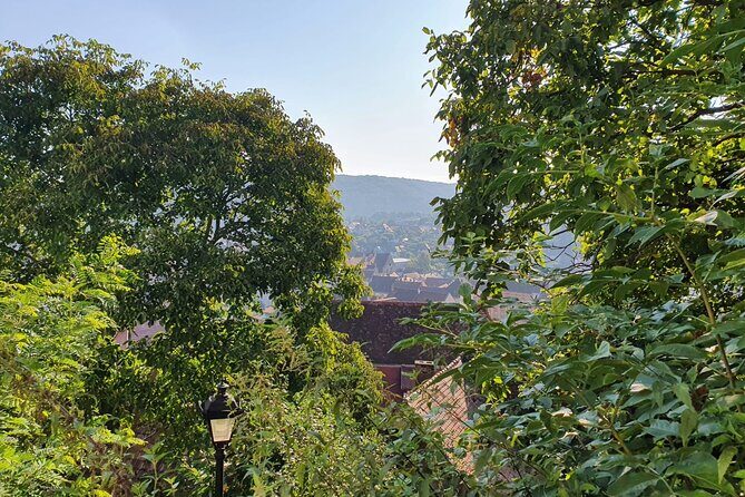 Bucharest Private Tour with Dracula's Grave and Ceauescu Mansion - Introduction to the Tour Experience