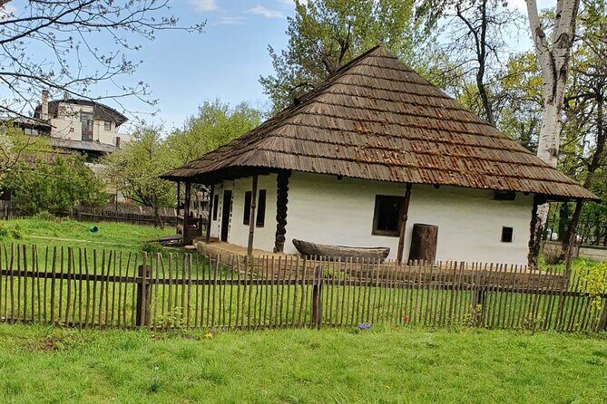 Bucharest Private Tour with Dracula's Grave and Ceauescu Mansion - Why This Tour Might Be a Good Fit