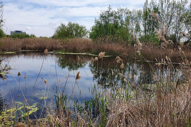 Bucharest Private Tour with Dracula's Grave and Ceauescu Mansion - Who Will Love This Experience?