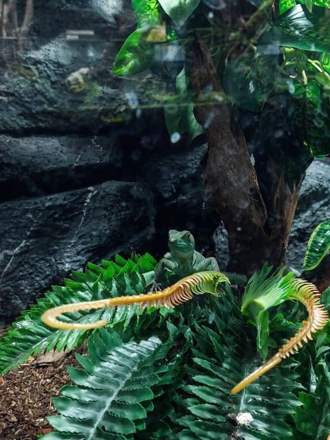 Bucharest: Reptiland Bucharest Entry Ticket - What to Expect at Reptiland Bucharest