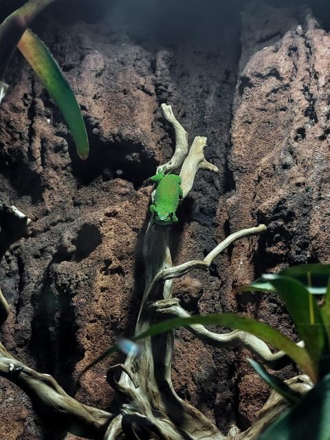 Bucharest: Reptiland Bucharest Entry Ticket - Final Thoughts