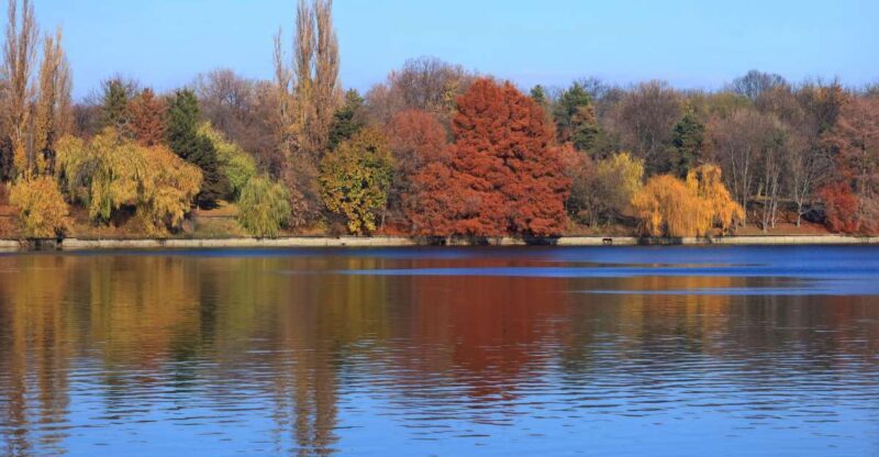 Bucharest Sightseeing Tour - Key Points