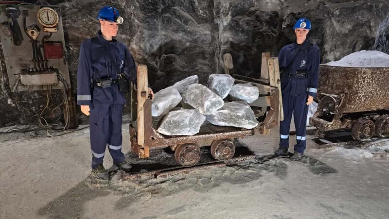 Bucharest: Slanic Salt Mine & Tomb of Dracula Half Day Trip - Who’s This Tour Best For?