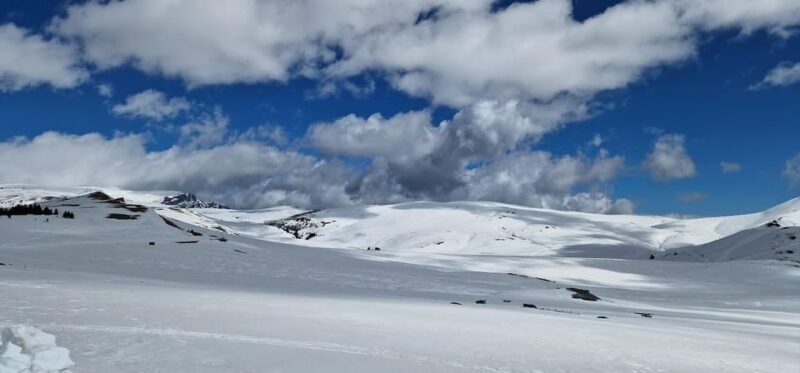 Bucharest: Snowmobile Tour with Pele Castle and Cable Car - Final Thoughts