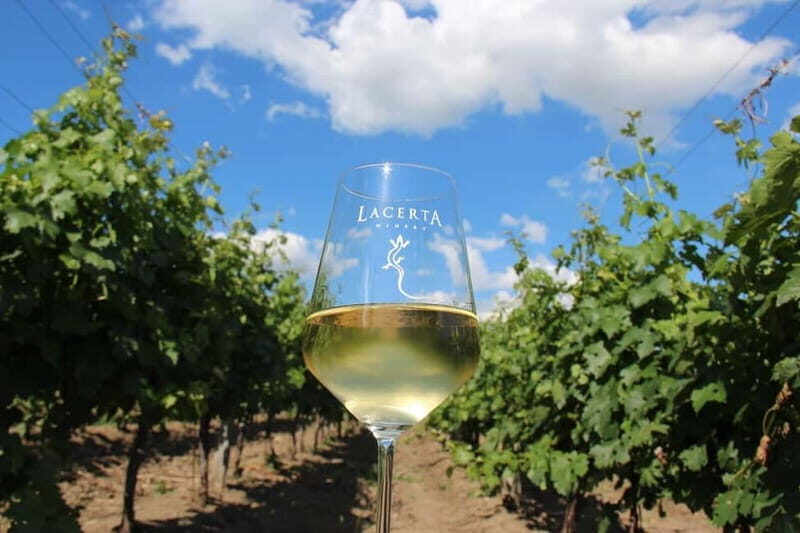 Bucharest: Taste the Magic of Wine in Romanias Tuscany - A Day in the Life: What to Expect