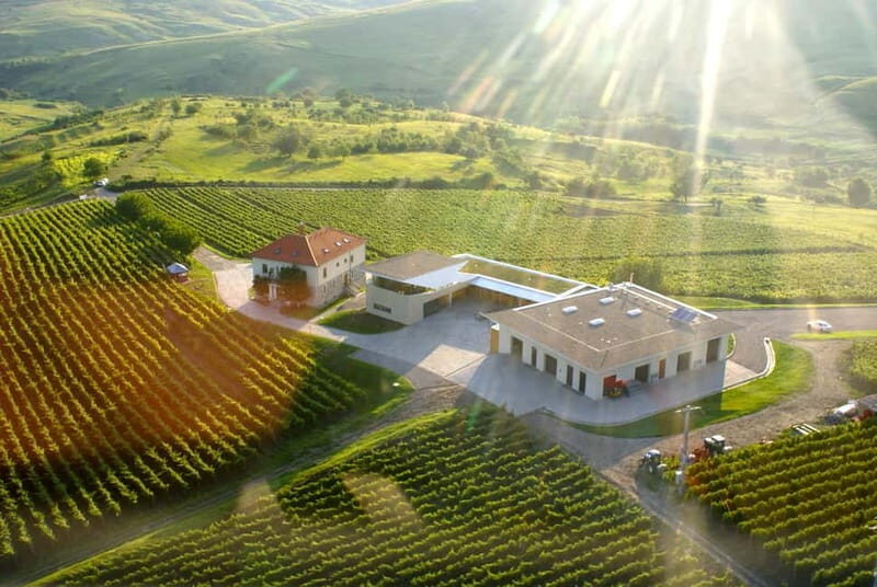 Bucharest: Taste the Magic of Wine in Romanias Tuscany - Who Should Consider This Tour?