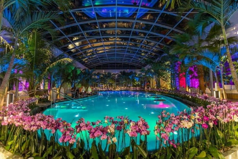 Bucharest: Therme Bucuresti Entry Ticket with Transfer - What Is Included and What to Expect