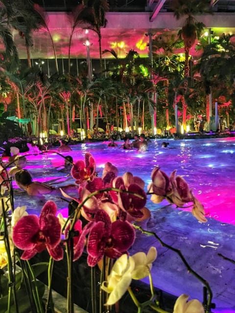 Bucharest: Therme Spa Night Experience with Transfer - What to Expect from the Bucharest Therme Spa Night Experience