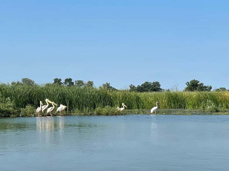 Bucharest: Tour to Danube Delta 2-Days With Boat Tour - Key Points