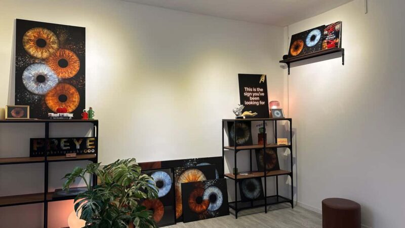 Bucharest: Turn Your Eyes into Art  PREYE Iris Photography - What to Expect from Your Iris Art Experience