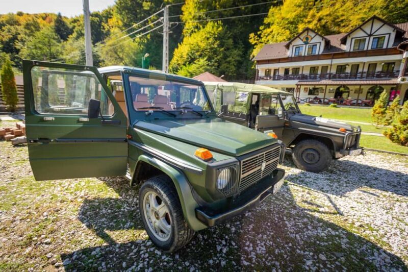 Bucharest: Valsan Valley and Transfagarasan Day Trip - What’s Included and How the Day Unfolds