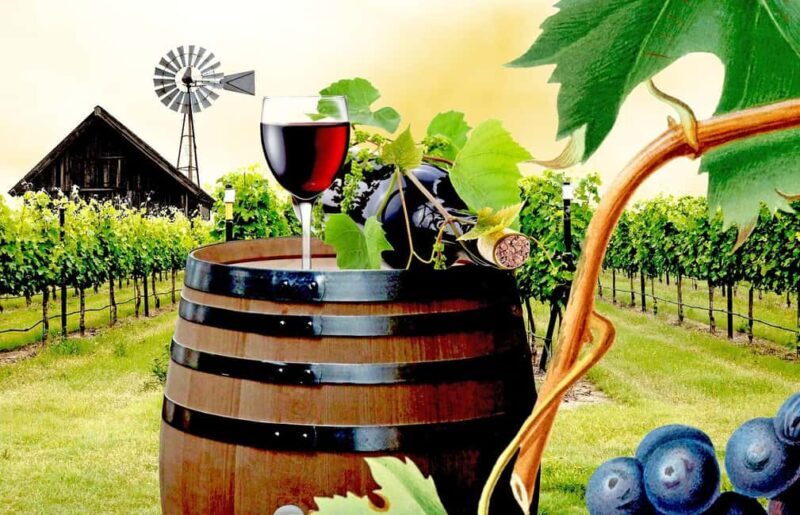 Bucharest: Wine Tasting and Salt Mine Day Trip - Who Would This Tour Suit Best?