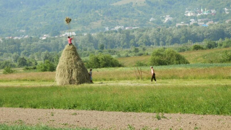 Bucovina Painted Monasteries Tour from Suceava/Gura Humor - The Practical Details