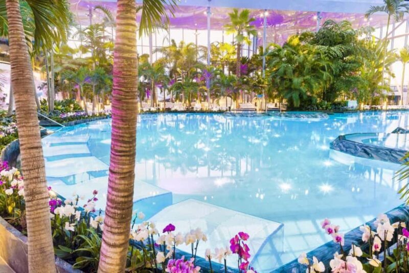 Bucuresti: Bucuresti Therme Transfer and Full-Day Access - The Experience: What to Expect