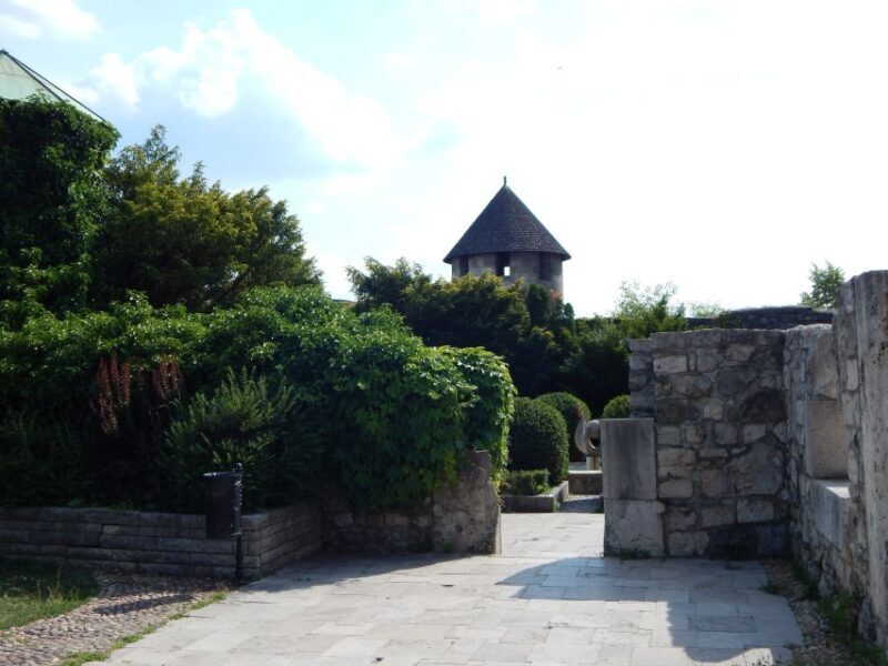 Buda Castle: Private Walking Tour - A Deep Dive into the Buda Castle Private Walking Tour