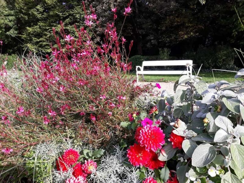 Budapest: Best Gardens Walking Tour & Folk Music Performance - Key Points